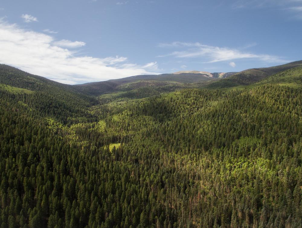 Carson National Forest, New Mexico