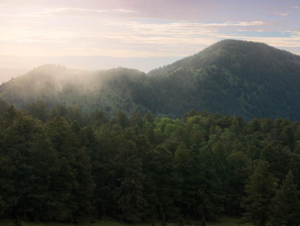 Cibola National Forest, New Mexico