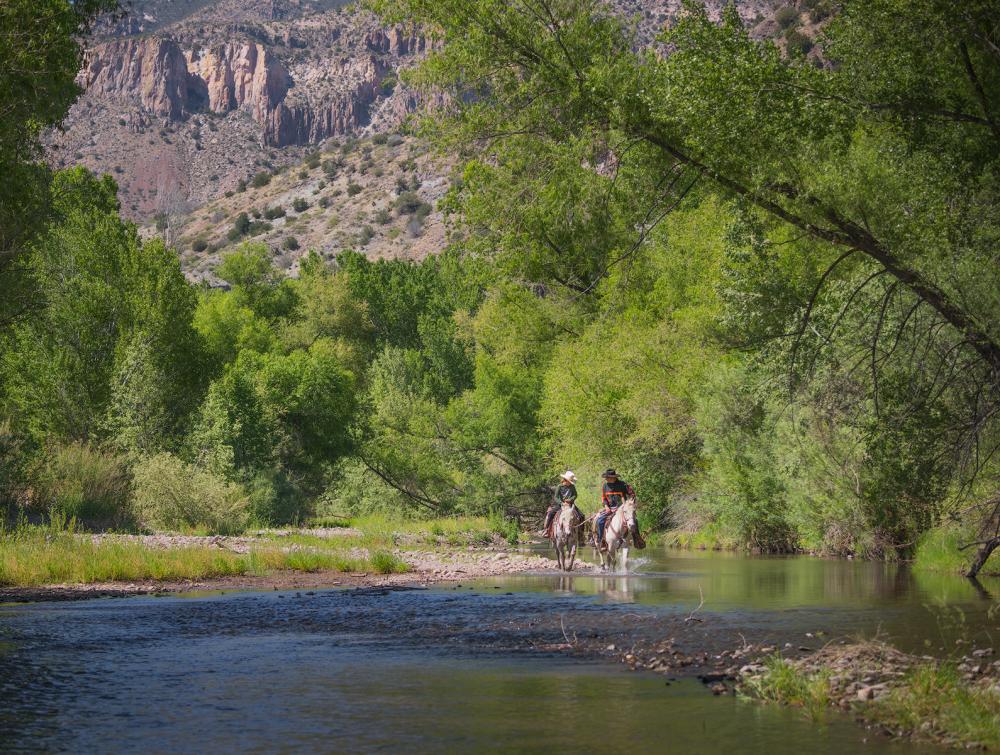 Horseback riders in Gila National Forest, New Mexico.