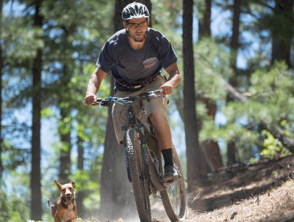 Mountain biker in Gila National Forest, New Mexico.