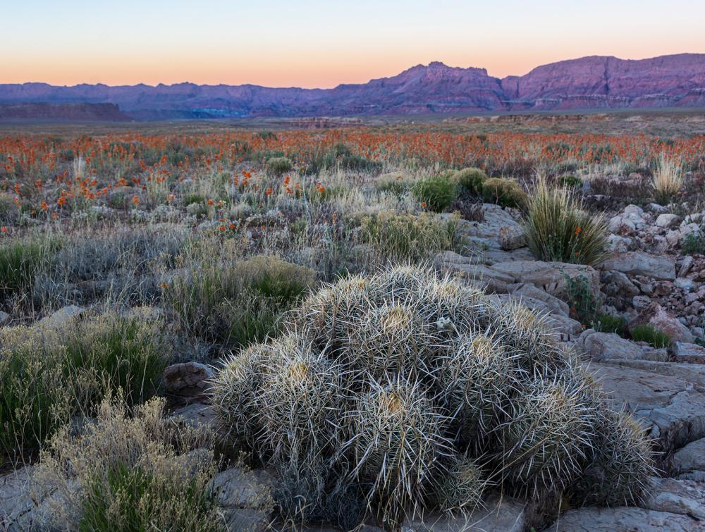 Marble Canyon, Arizona.