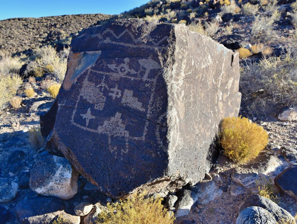 Petroglyphs on the shady side of a rock in a sparsely vegetated desert landscape