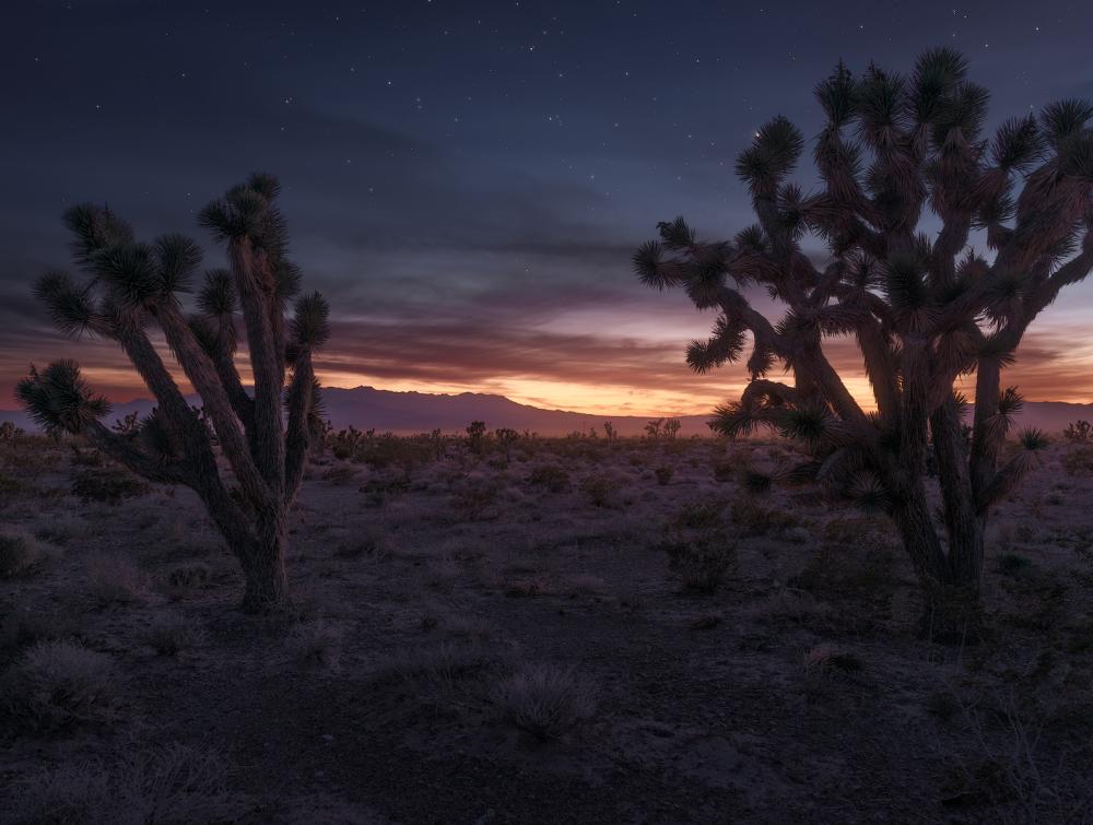 Pahrump Wash, Nevada