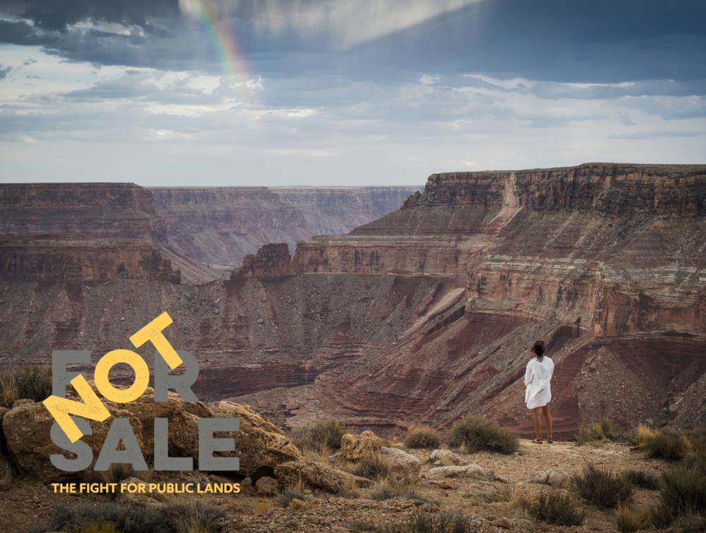 A woman stands at the ledge of a deep Arizona canyon that stretches far into the distance. Text reads "not for sale."