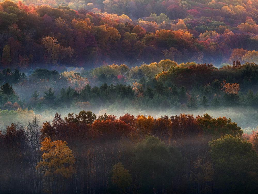 Hinckley Reservation, OH