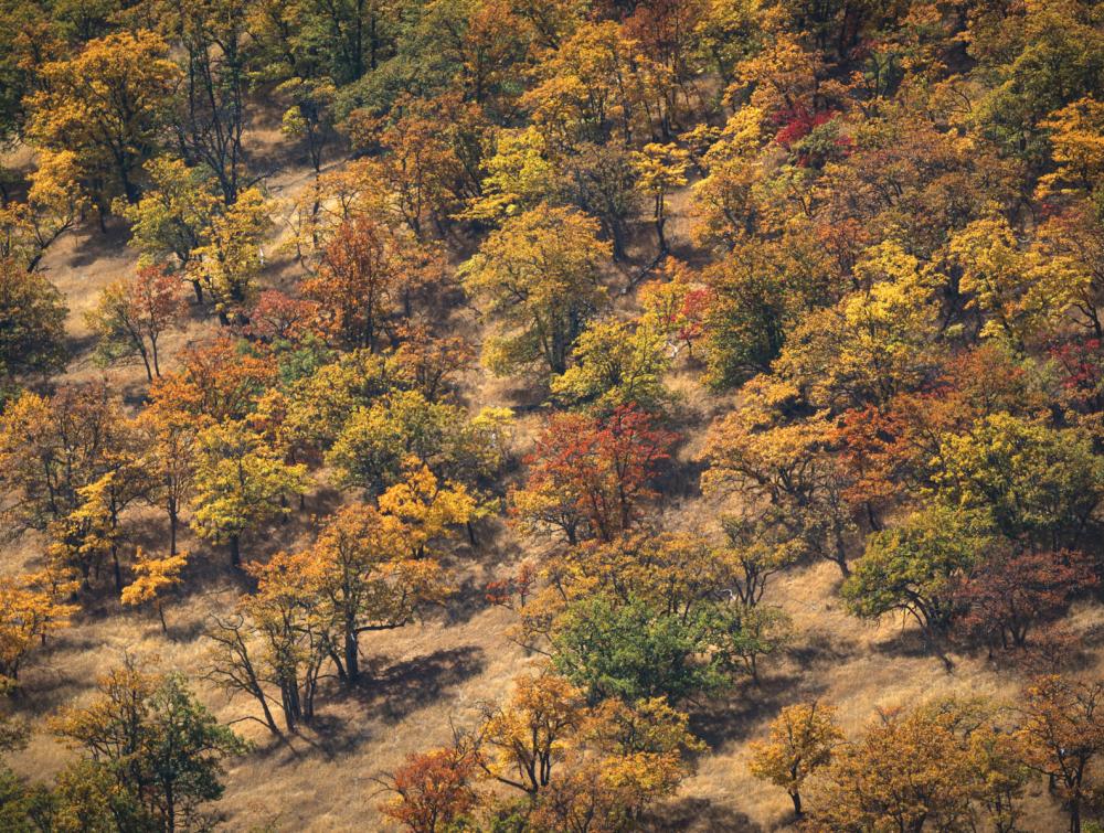 Cascade-Siskiyou National Monument, Oregon.