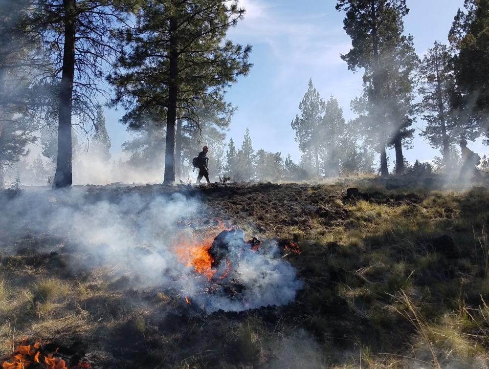 Silhouetted figure walking in forested landscape with fire smoldering in the foreground