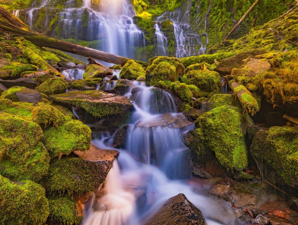 A stream in Willamette National Forest.