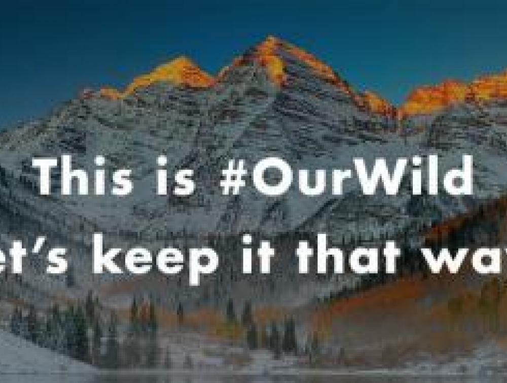 "This is #OurWild. Let's Keep it that way