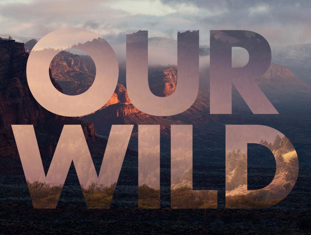 Our Wild Graphic