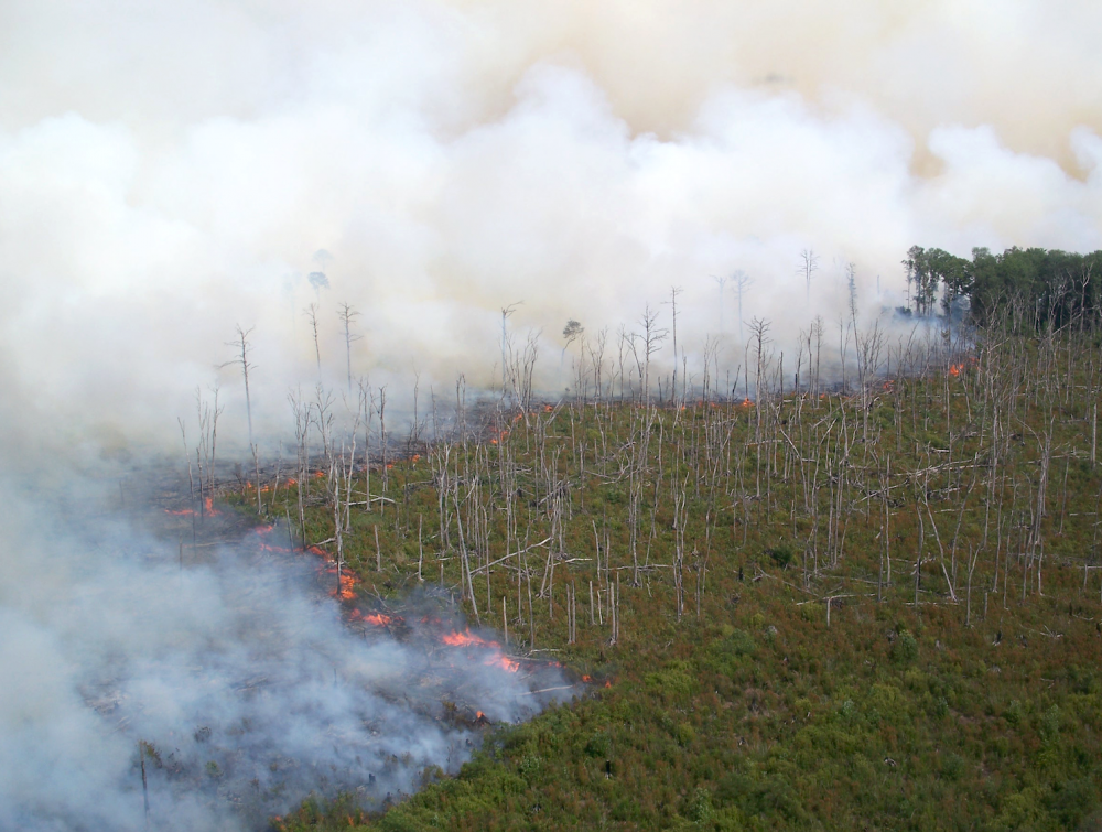 Great Dismal Swamp Wildfire