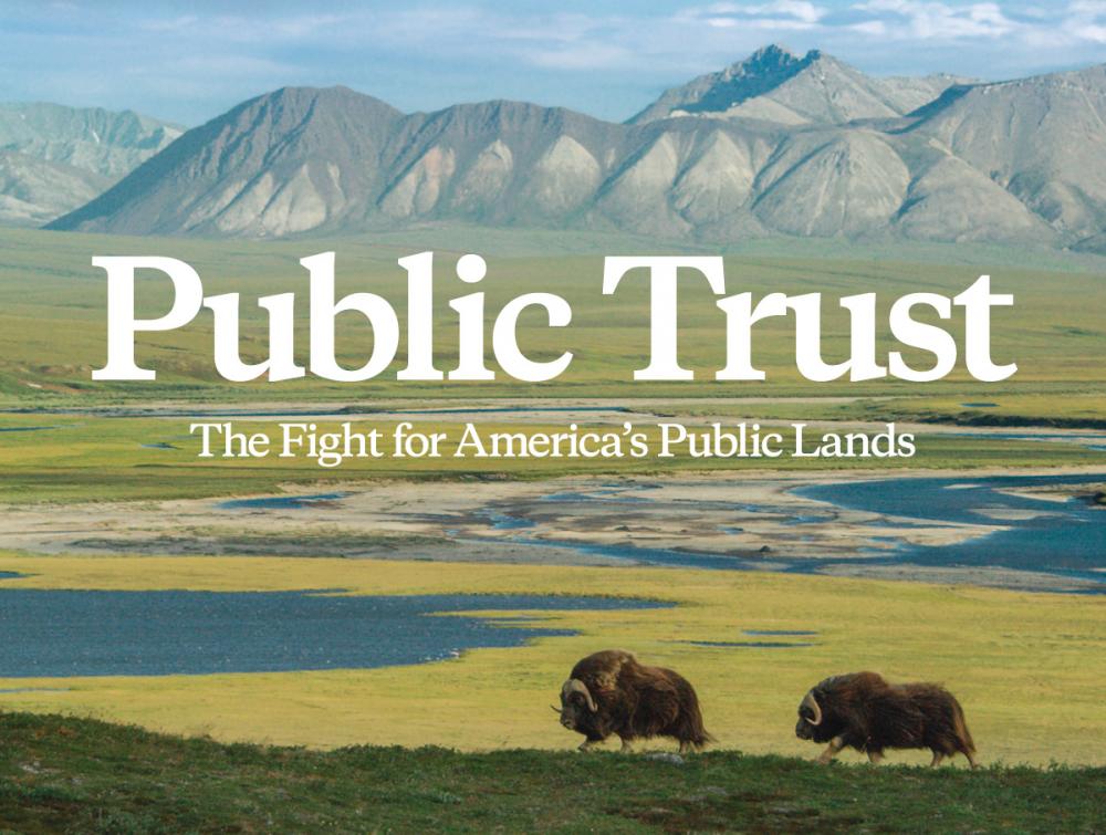 Public Trust film poster