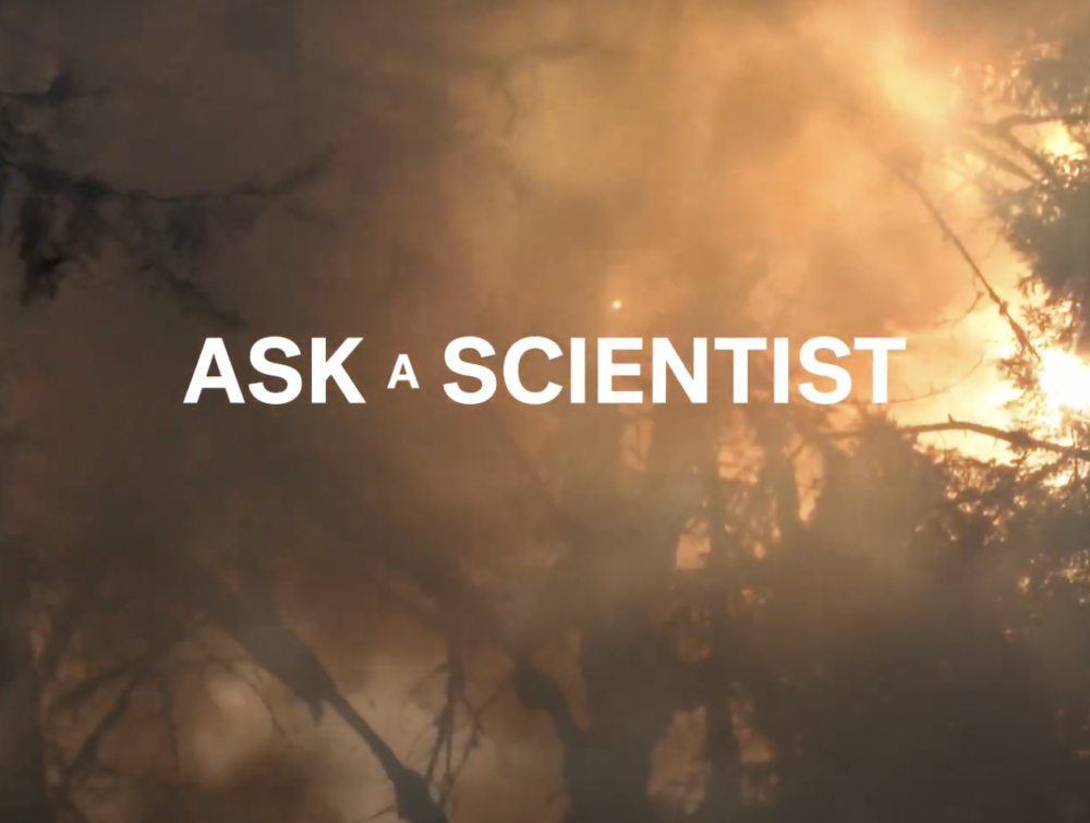 Ask a scientists videos