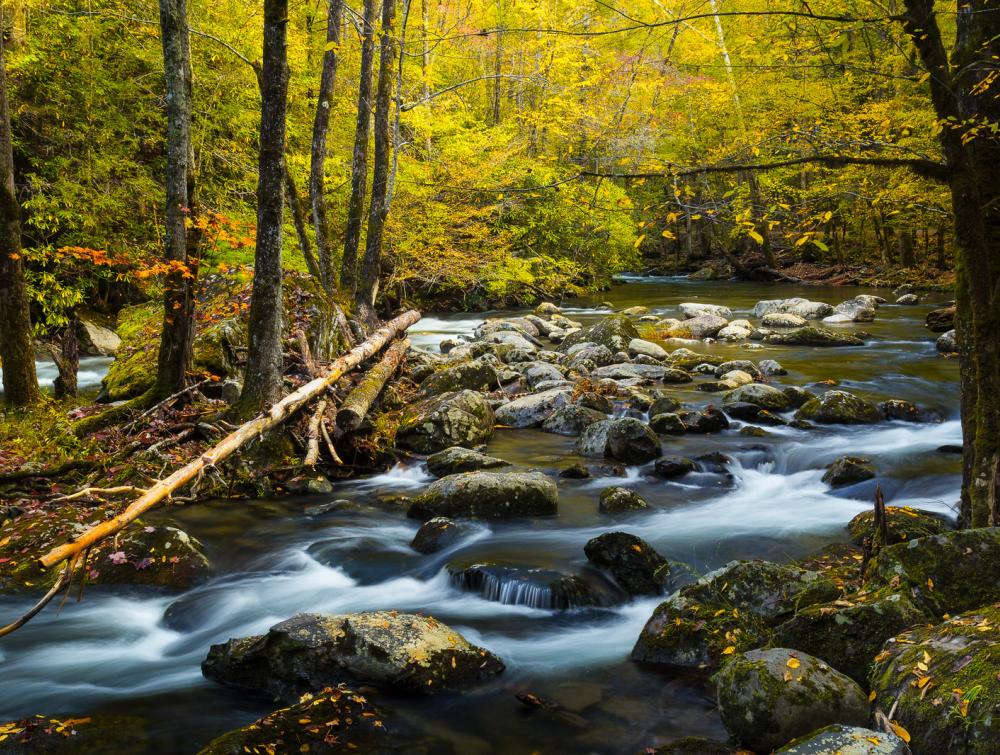 Great Smokey Mountains National Park, TN