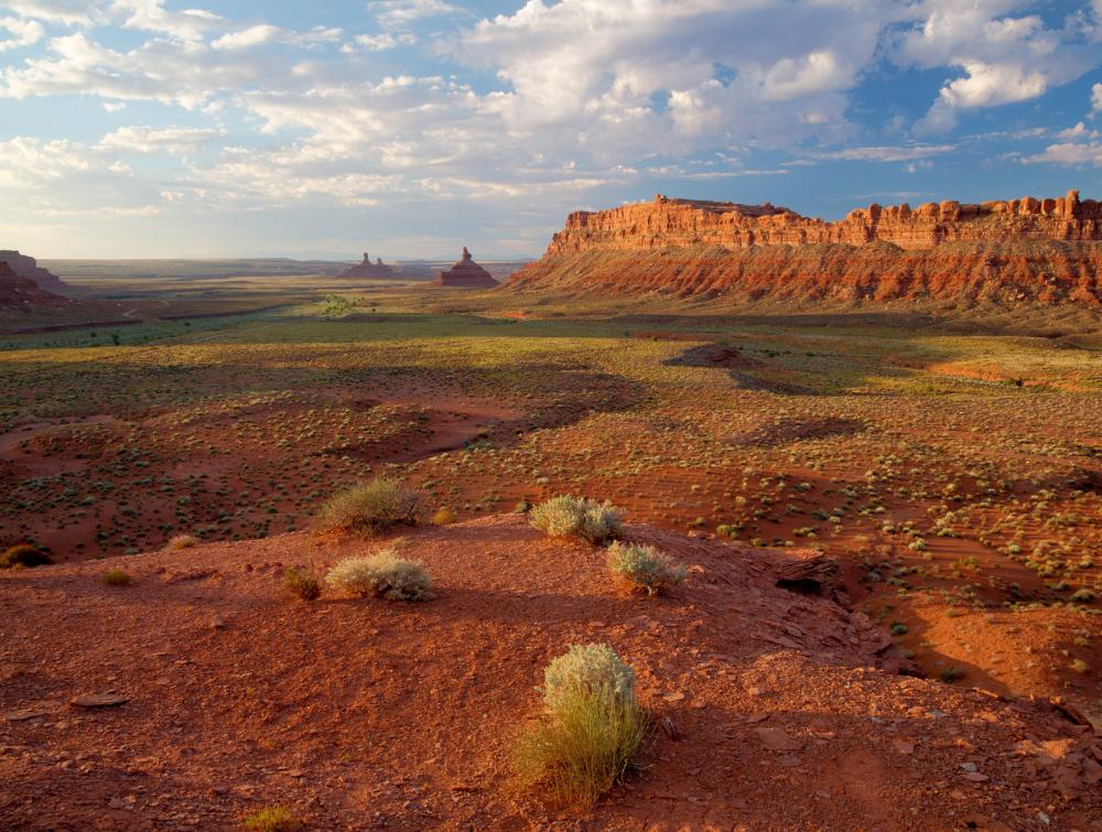 A vast desert scene in Bears Ears National Monument, Utah.