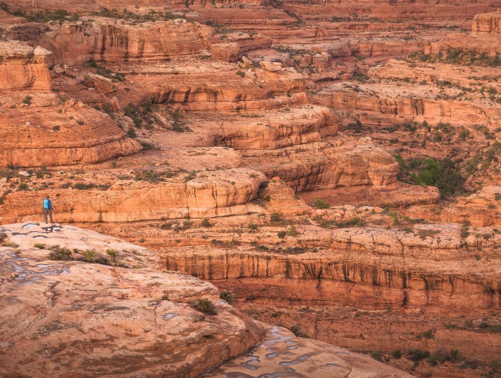 Looking down into Road Canyon in Bears Ears National Monument, UT