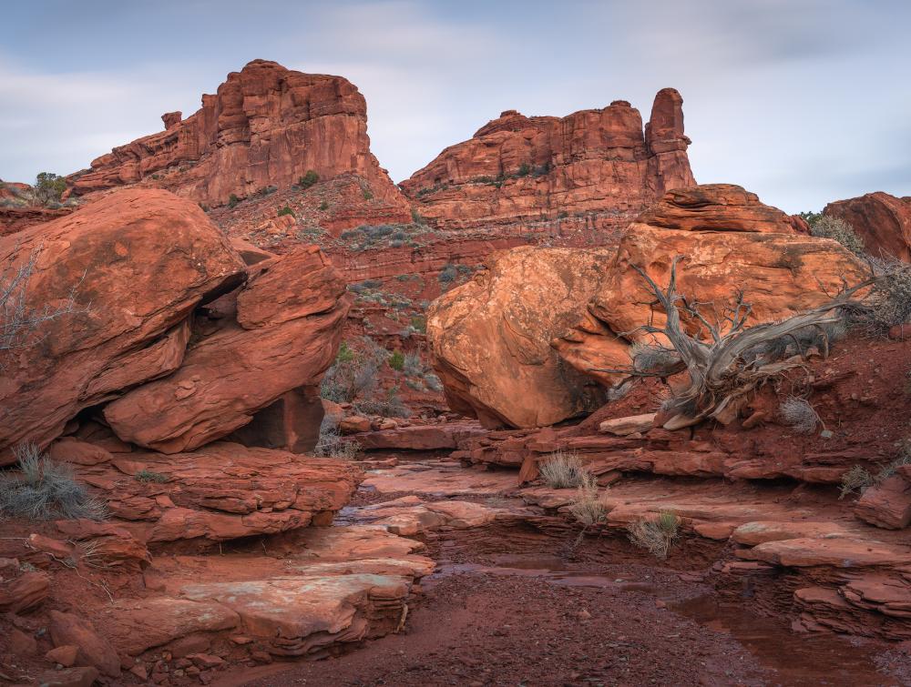 Trump Admin Releases Plan For Its Fraudulent Diminished Version Of Bears Ears The Wilderness Society