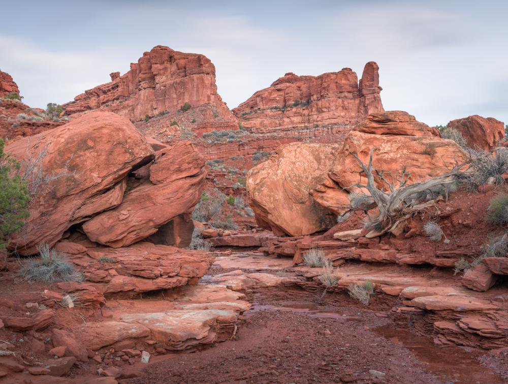 Bears Ears National Monument, Utah