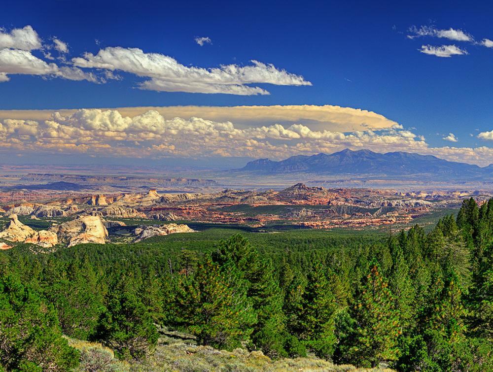 Trees in foreground, red-rock landscape in background, Fishlake National Forest, Utah