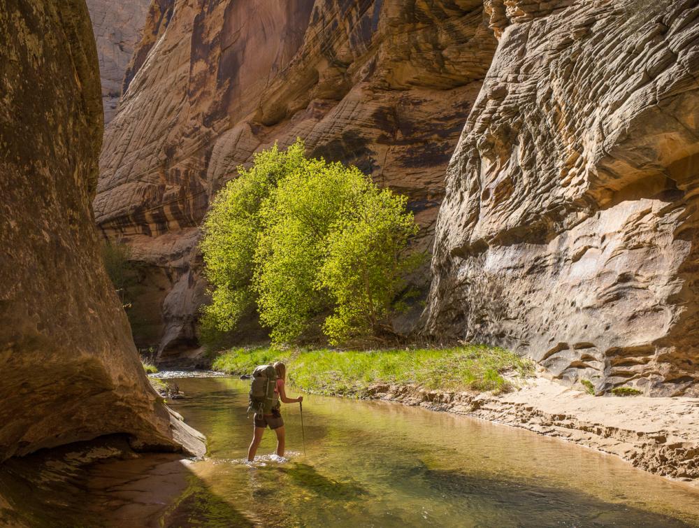 Grand Staircase-Escalante National Monument, UT