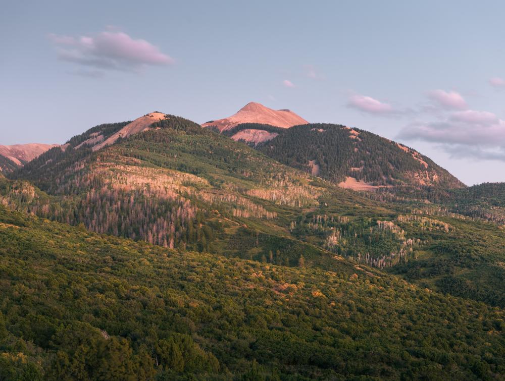 Manti-La Sal National Forest