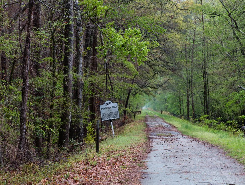 Sign reading "Washington Ditch" in the ground near a stand of green trees next to a dirt road in the Great Dismal Swamp, Virginia