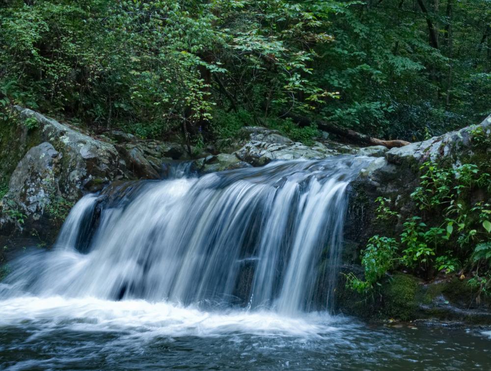 Waterfall cascading down rocks in a forest