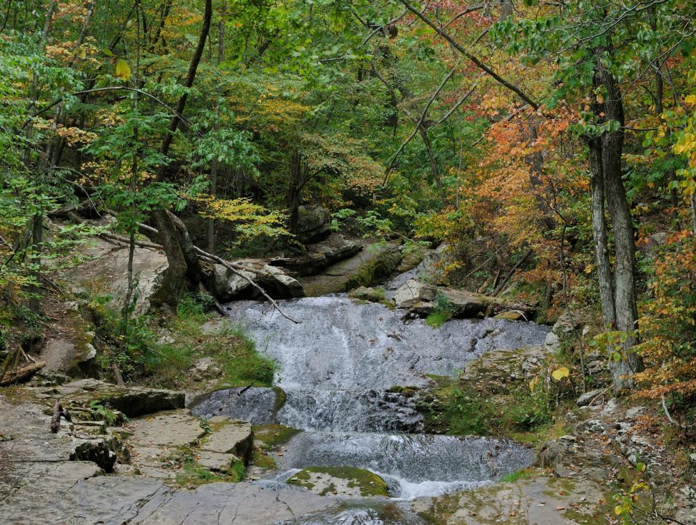 Water cascading over rocks in the middle of a deciduous forest, with some leaves beginning to change colors for fall