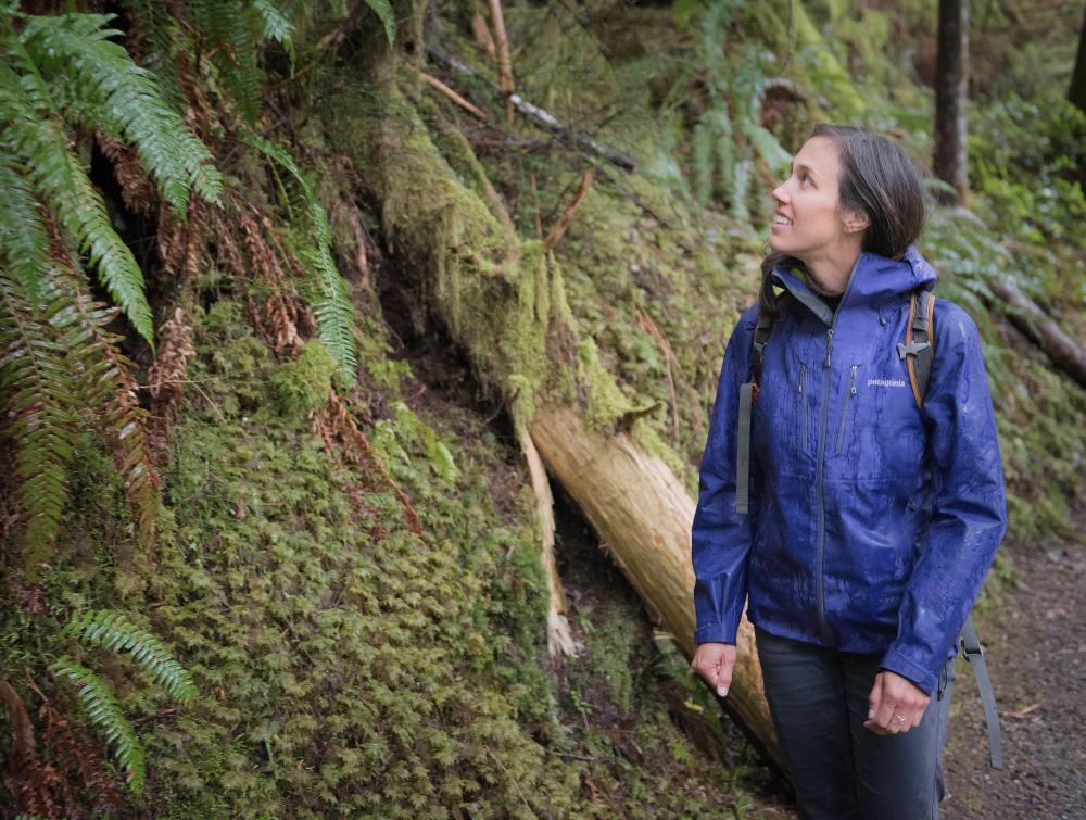 Hiking in Alpine Lakes Wilderness, Washington