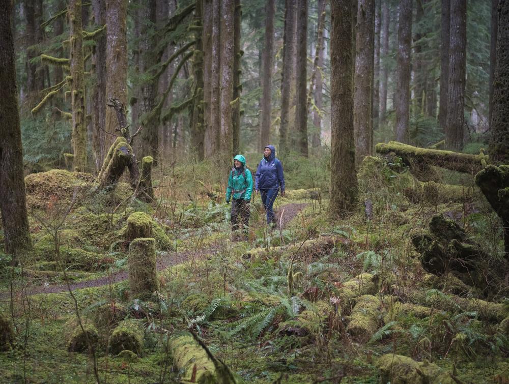 Walking in Alpine Lakes Wilderness, WA