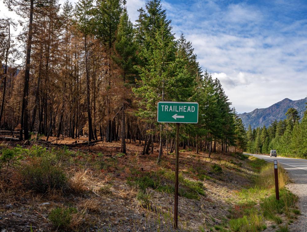 Trailhead sign in front of a half-burnt forest.