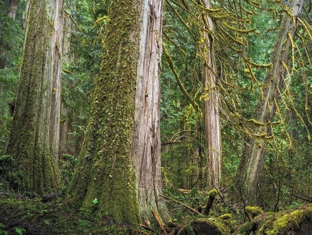 Glacier Peak Wilderness, Washington