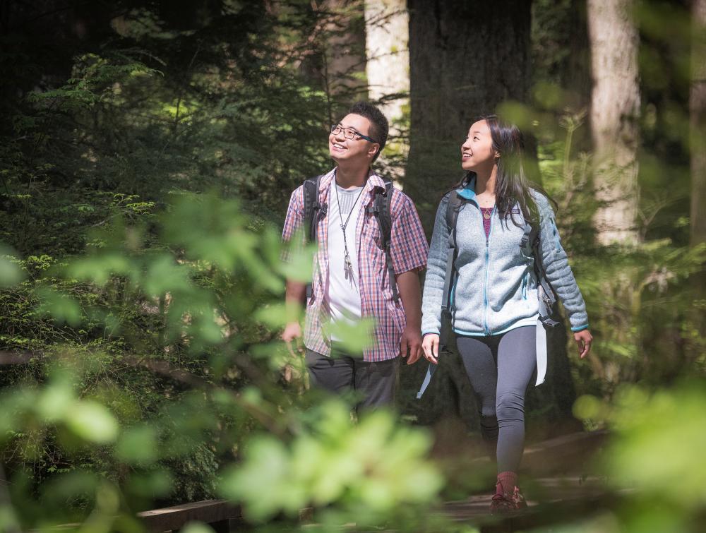 Two people walking through the woods