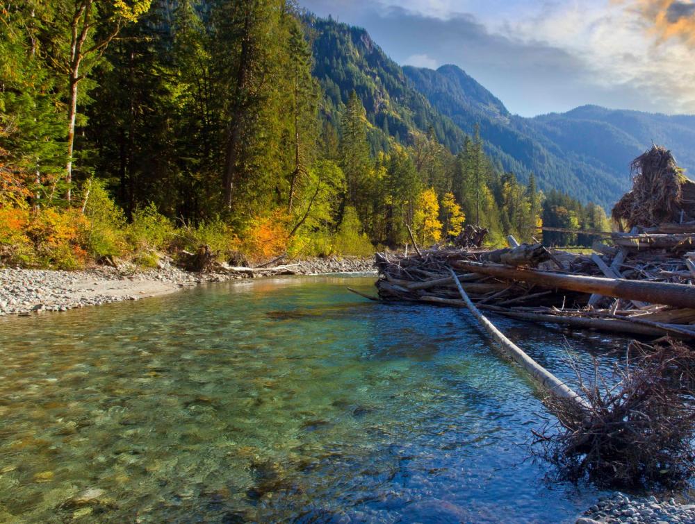 Mount Baker-Snoqualmie National Forest, WA, Andy Porter