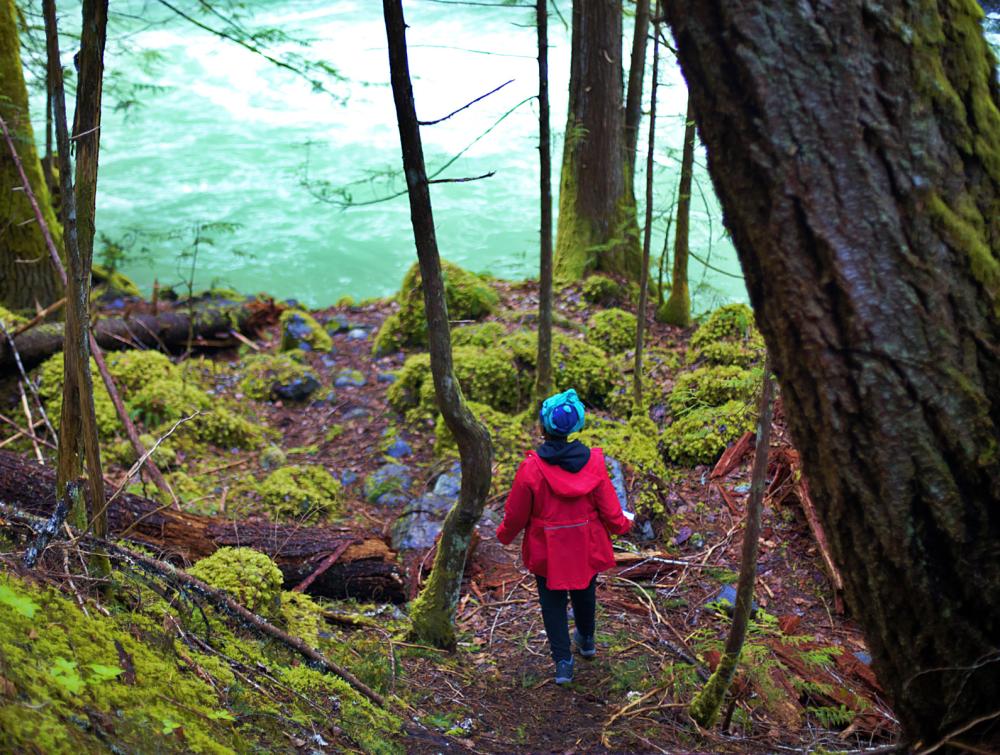A woman walking toward a stream in the woods.