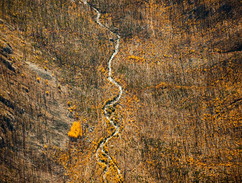 Okanogon-Wenatchee National Forest, WA