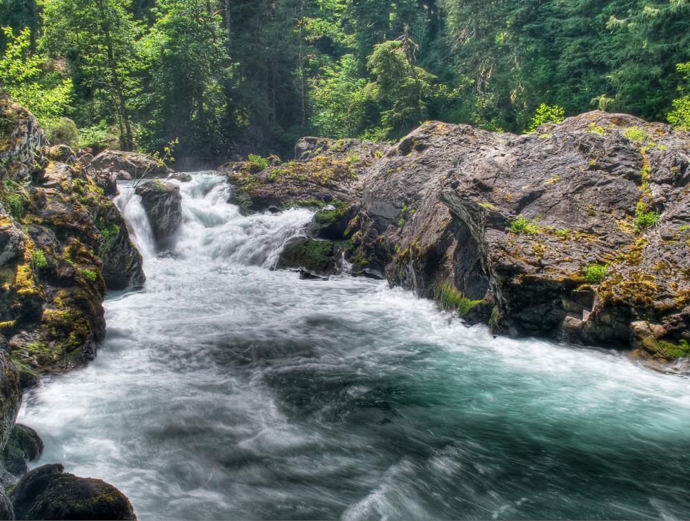 River rushing toward foreground with moss-covered banks and forest on either side