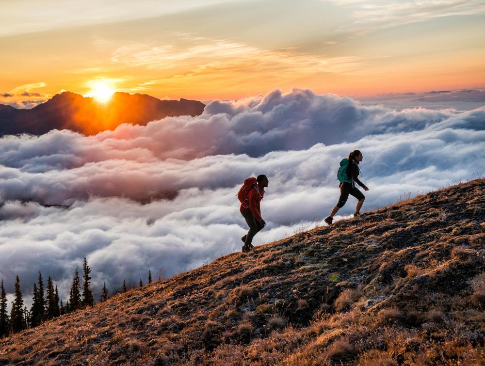 Hikers in Olympic National Park, Washington