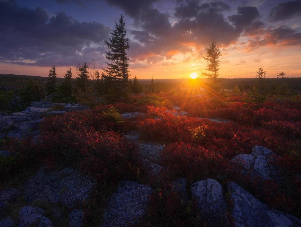 Sunset in Dolly Sodds Wilderness Area, WV