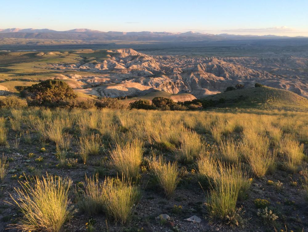 Devil's Playground, Wyoming.