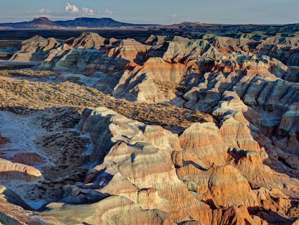 Northern Red Desert, Wyoming.