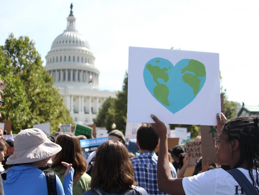 Crowd of demonstrators with signs standing in front of Capitol dome in Washington DC
