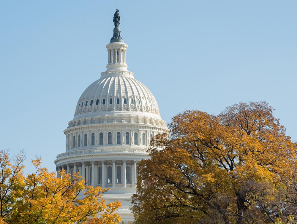 U.S. Capitol Dome in Washington, DC