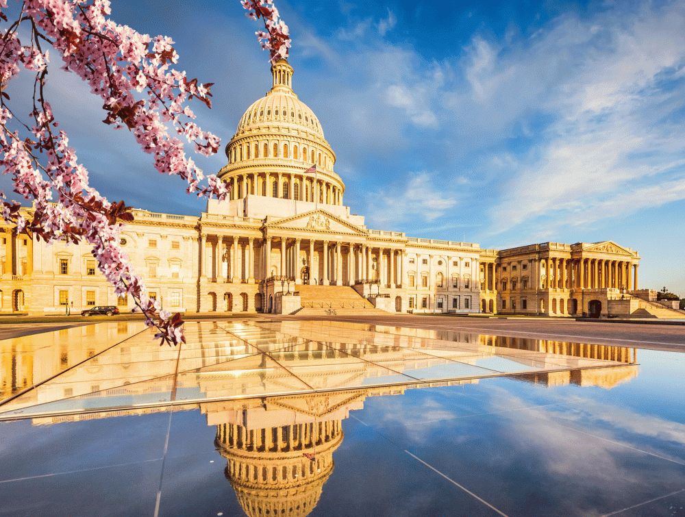 The U.S. Capitol, Washington D.C.