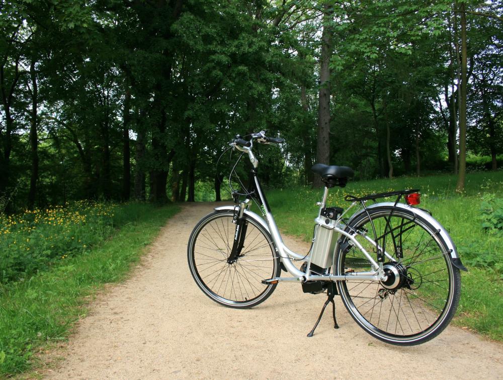 E-bike on trail with forest in background