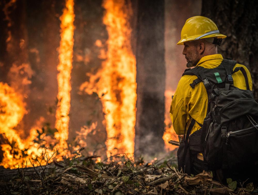 A firefighter in Oregon oversees a prescribed burn to help stop a larger wildfire. 