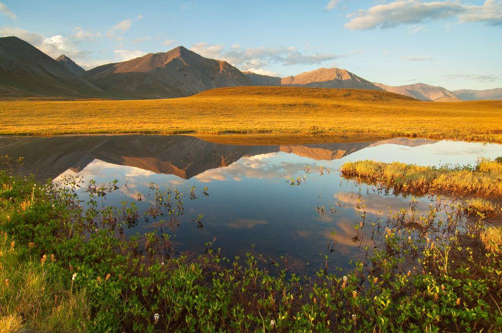 Scenic Arctic Refuge shot with mountains in the background and lake in the foreground