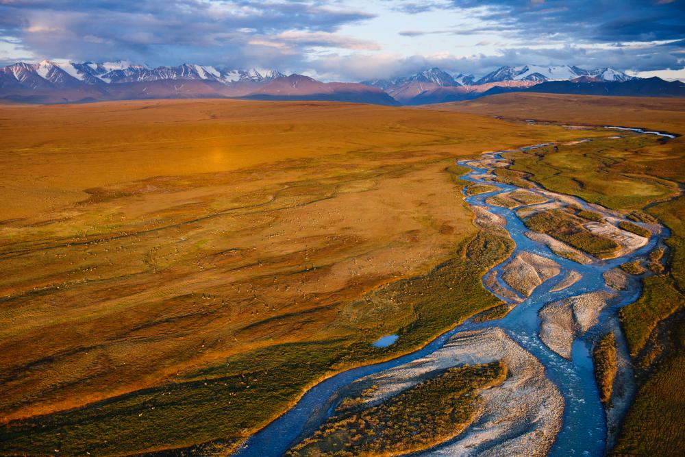 Coastal plain of the Arctic Refuge