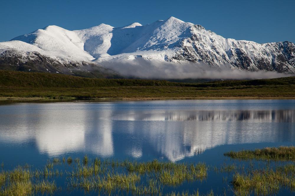 Reflection of a mountain in Delta Wild and Scenic River, Alaska.