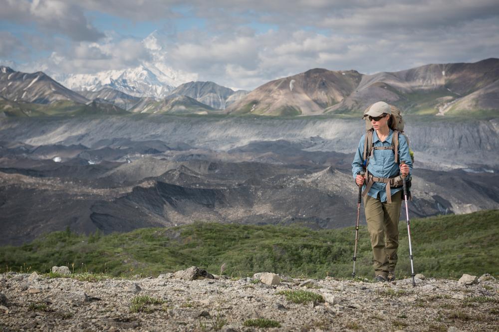 Denali National Park, Alaska.